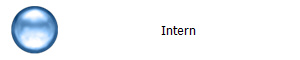 Intern