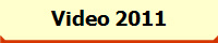 Video 2011